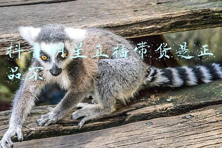 抖音主播带货品牌是正品吗(抖音直播带货那么便宜，不亏吗？还是掺假货卖？)