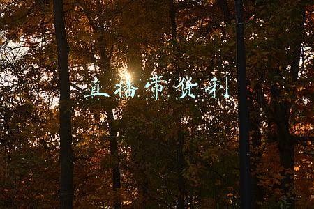 直播带货利益分配(浅析“直播带货”行业的高额收入问题及解决思路猜想)