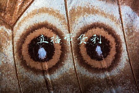 直播带货利弊分析(直播带货被「砍一刀」，但长期来看是好事｜ifanrTalllk)