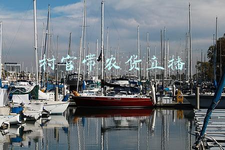 村官直播带货助力乡村振兴(湖南城步：大学生村官直播带货 助力乡村振兴)