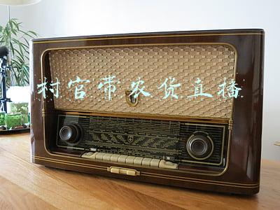 村官带农货直播