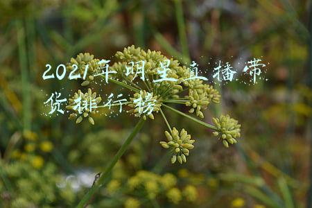 2021年明星直播带货排行榜