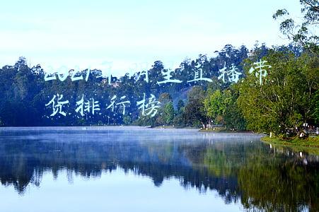 2021年明星直播带货排行榜