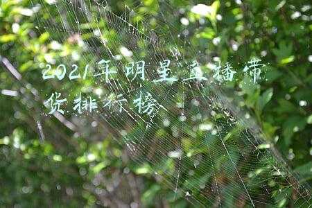 2021年明星直播带货排行榜