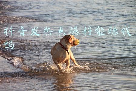 抖音上热搜有什么好处,赚钱吗(抖音“紫薇”一场直播收入10万，模仿明星成好生意？)