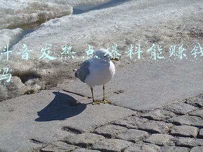 热点爆料能赚钱吗(抖音上各种赚钱的说法真与假)