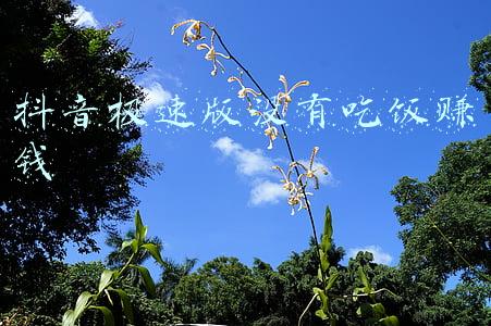 抖音极速版没有吃饭赚钱