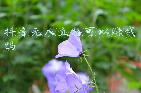 抖音无人直播可以赚钱吗