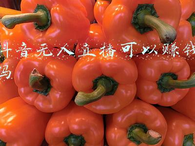 抖音无人直播可以赚钱吗