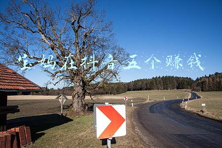 宝妈如何在抖音月收入上万(厉害了，用了这个软件，小白宝妈也可以在抖音带货月入5位数)