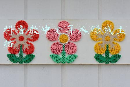 抖音教中老年人赚钱主播
