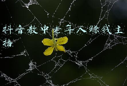 普通人抖音直播能赚钱吗(普通人做直播赚钱吗？)
