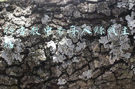 社区教老年人使用手机(帮助老人学习智能手机 北京多单位发出联合倡议)