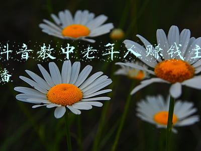 教老年人使用微信图解(6个你不知道的微信小技巧，冷门且强大，每个都很实用)