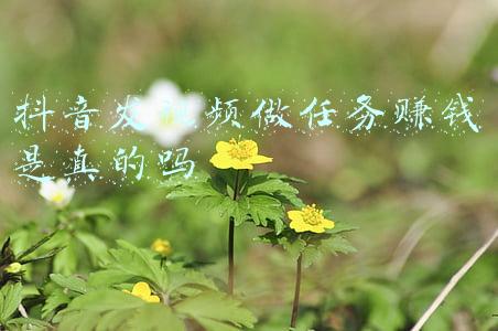 发单接单任务平台(比心app怎么才能接单 比心平台发单教程)