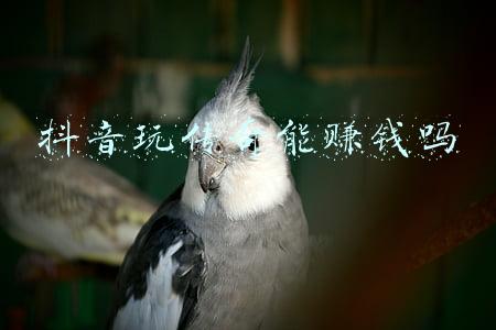玩传奇真的可以赚钱吗(传奇游戏真的可以挣钱吗？传奇顶榜是真的吗？)