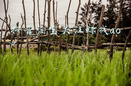 aop(Spring学以致用！手把手带你用aop思想搞定 CRUD 的创建人、修改人、时间等字段的赋值)