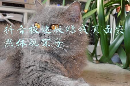 图片转换pdf页面版(图片转PDF，这个工具非常专业，值得尝试)
