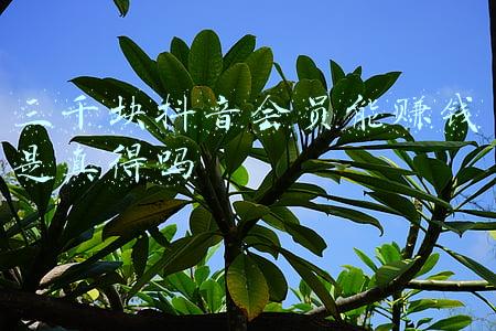 抖音有三千万粉丝一个月可以赚多少钱(张庭“涉嫌传销”，直播乱象何时能停？)