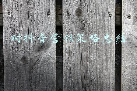 沃尔玛营销策略总结(沃尔玛中国区市场营销推广方案ppt)