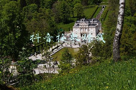 抖音戒哥是什么梗(宜倾心 九月六日)