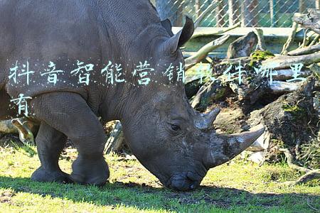 抖音营销助手(抖音营销助手一款抖音全自动精准引流软件)