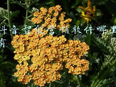 云恒智能营销软件(倪德享：宁做一分钱的老板，不做一块钱的奴隶)
