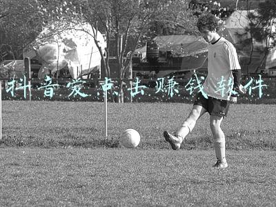 抖音点点赚钱(抚州一女子抖音点赞刷单，被骗8万元)