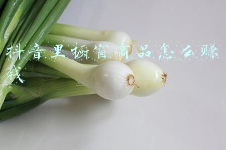 抖音商品橱窗能赚多少钱(大二学生通过抖音商品橱窗，20天赚2.4万，每天只花2小时「干货」)