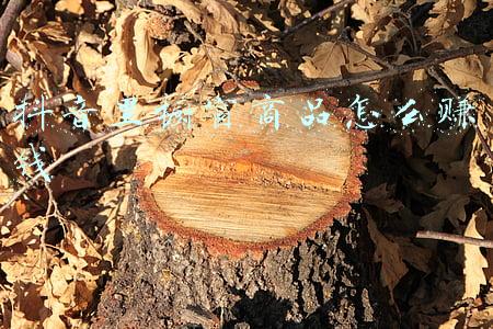 抖音商品橱窗能赚钱吗(1条抖音视频橱窗卖出10.9w单，小众品牌被带火原因揭秘)