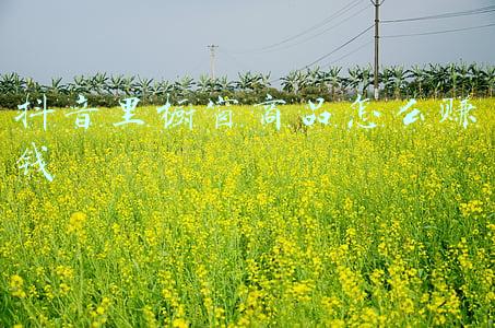 抖音怎么开商品橱窗(粉丝不够1000抖音橱窗怎么开通？抖音商品分享开通流程)