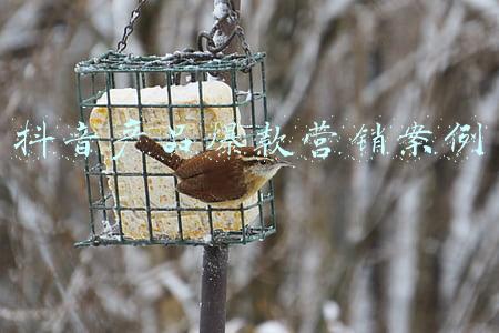 亚马逊2021爆款产品(2021年，亚马逊冷门却又赚钱的5款产品清单)