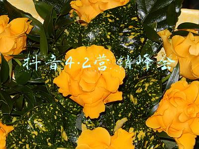 抖音4.2营销峰会