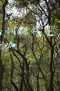 抖音培训有用吗(抖音培训靠谱吗？什么样的培训机构才靠谱？)