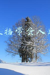 直播带货人民网(直播有规矩，带货不“翻车”)
