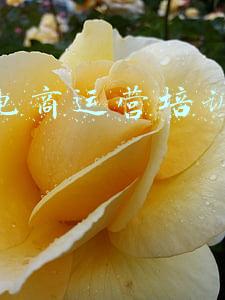 莆田英语培训机构(莆田英语翻译 莆田英语翻译公司 海历阳光专业英语翻译服务)