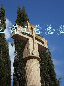 跨境电商运营总监是做什么