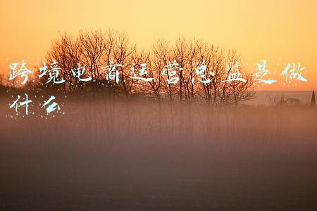 跨境电商产品经理(除了打包卖货你还能干嘛？跨境人可以做产品经理吗？)