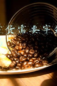直播带货需要牢筑诚信基石吗