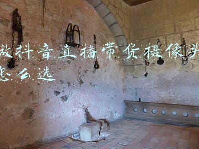 做抖音直播带货摄像头怎么选