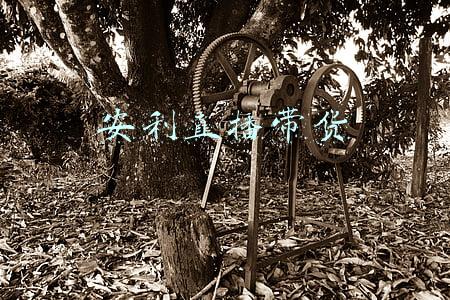 安利直播带货 安利直播带货