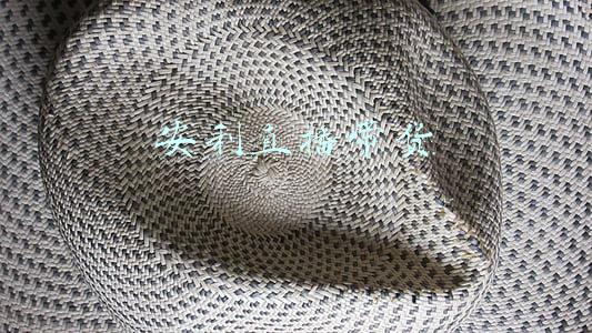 安利直播平台(第九届安利杯安全促进项目大赛举行，“云”端全网直播)