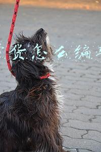 直播带货怎么介绍产品(新手直播带货常用话术大全)