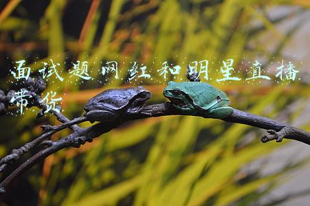 带货主播面试问题(带货那些事 | 带货主播入行需要掌握什么技能？（上）)