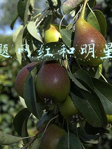 直播带货面试问题(面试模拟题：小农户直播带货大市场)