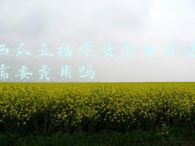西瓜直播带货怎么开通需要费用吗