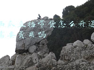 西瓜直播带货怎么开通需要费用吗
