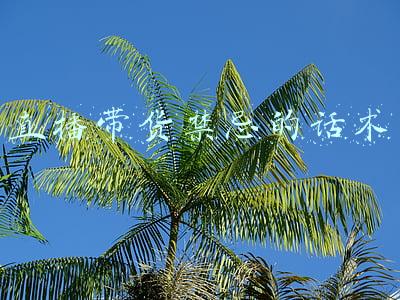 直播带货常用话术(学会这些直播带货话术，让你人气爆棚)