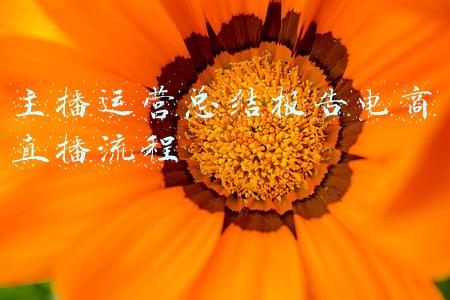 主播运营总结报告电商直播流程