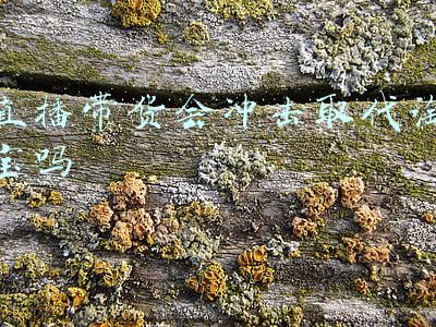 直播带货会冲击取代淘宝吗